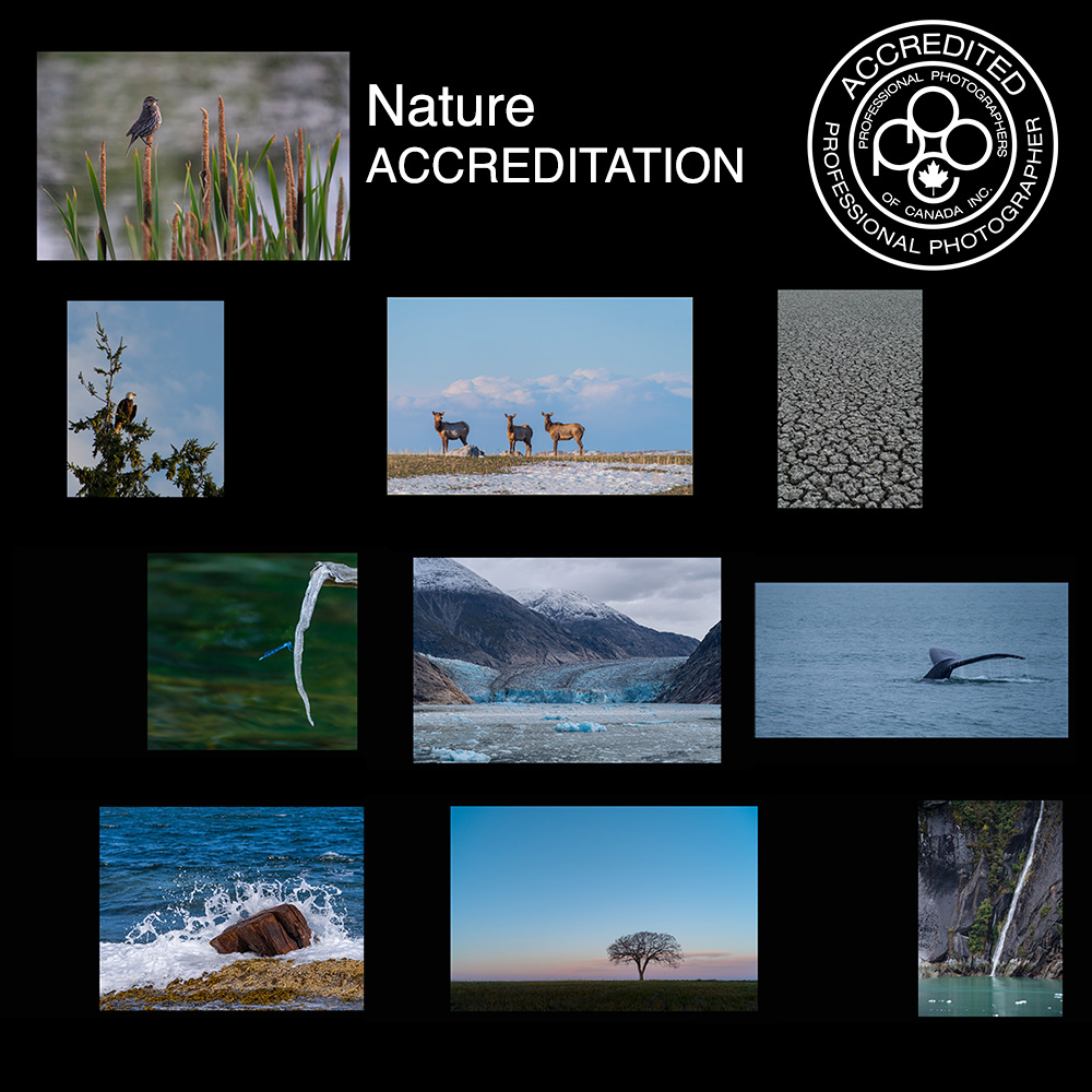WEB2Accreditation Nature Collection